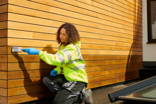 Best Storm Damage Siding Repair  in Windsor, VA