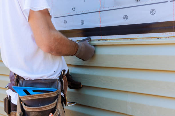 Professional Siding in Windsor, VA
